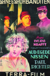 Raid on the Bergen Express (Poster)