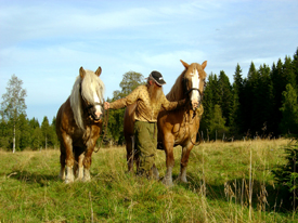 Hästmannen