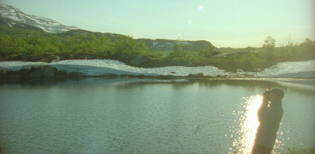 Untitled Abisko