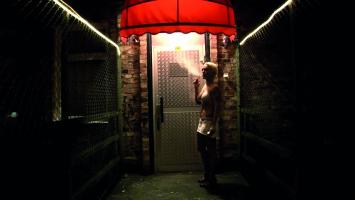 The Stripper