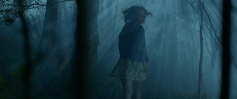Hanna's Homecoming, Photo 1