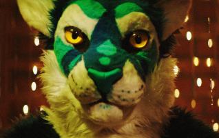 The Tiger, Photo 1