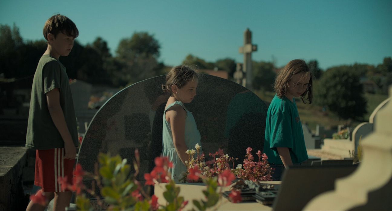 Brouillarta Brouillarta