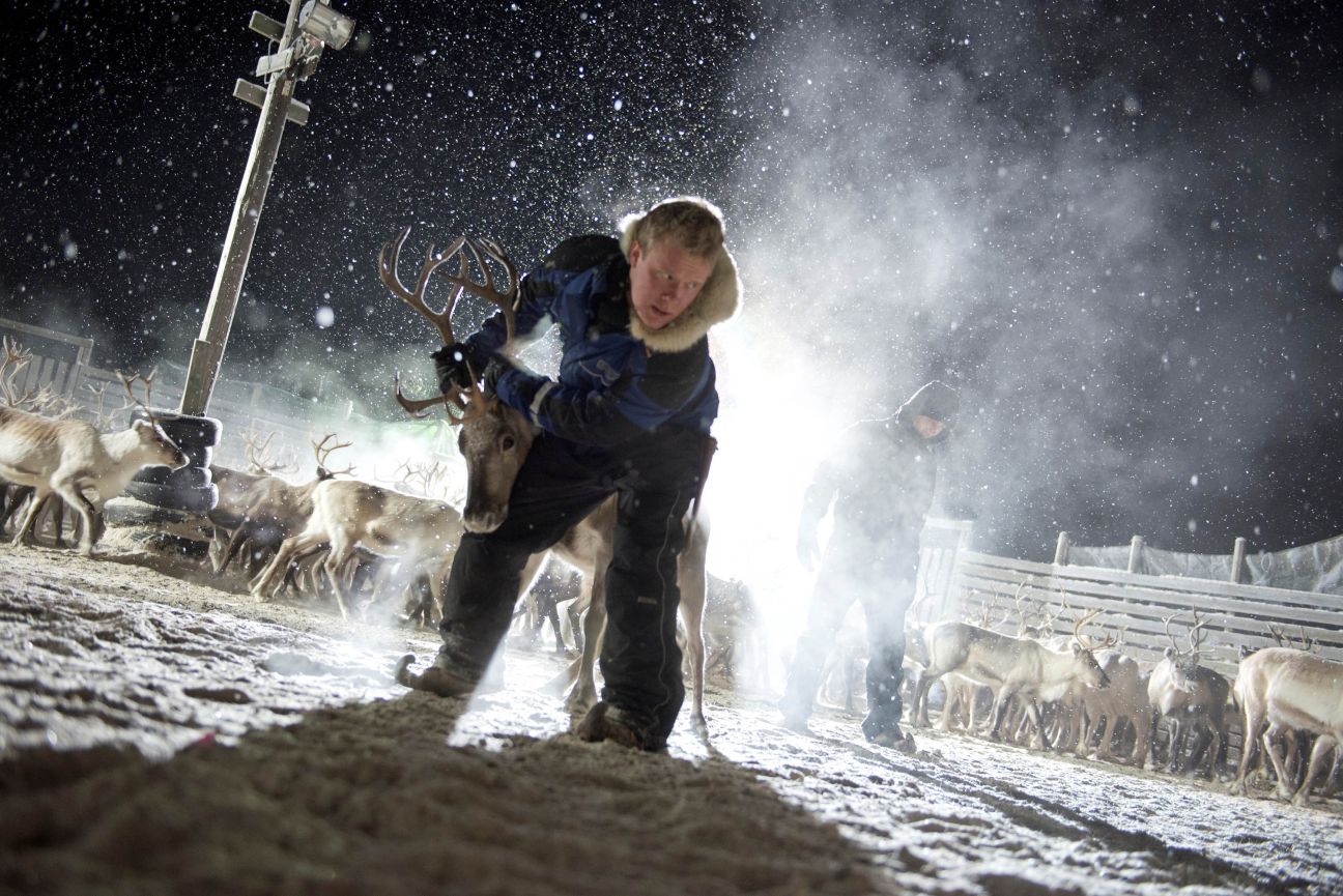 Sámi Boy