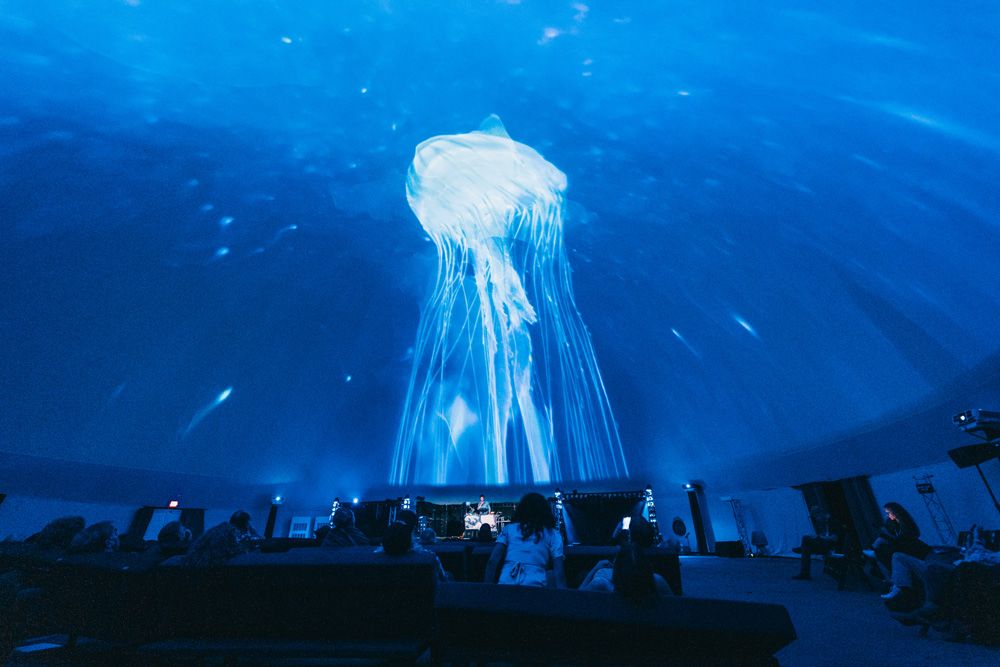 LIVESHOW: Sounds of the Ocean LIVESHOW: Sounds of the Ocean