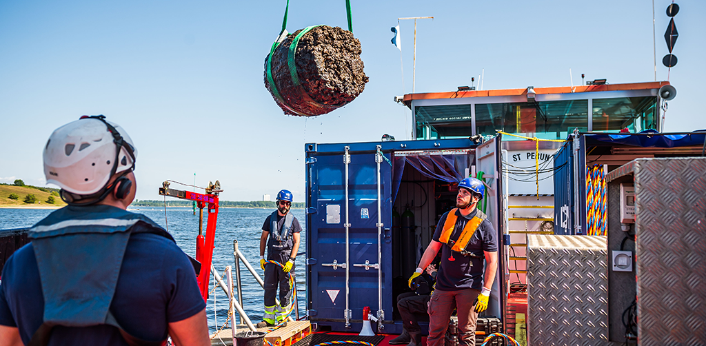 Dive into the Hanse Shipwreck