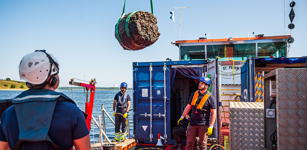 Dive into the Hanse Shipwreck Dive into the Hanse Shipwreck