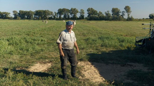 Werner Marx auf der Weide