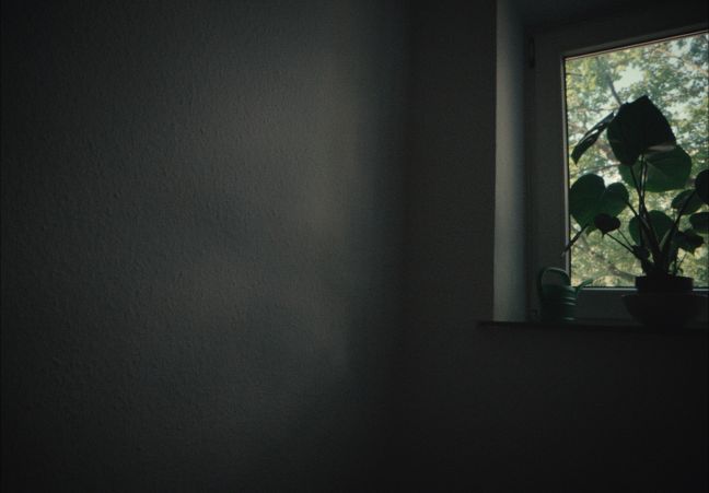 die Ecke eines Zimmers mit einer Pflanze und einer Gießkanne auf dem Fensterbrett
