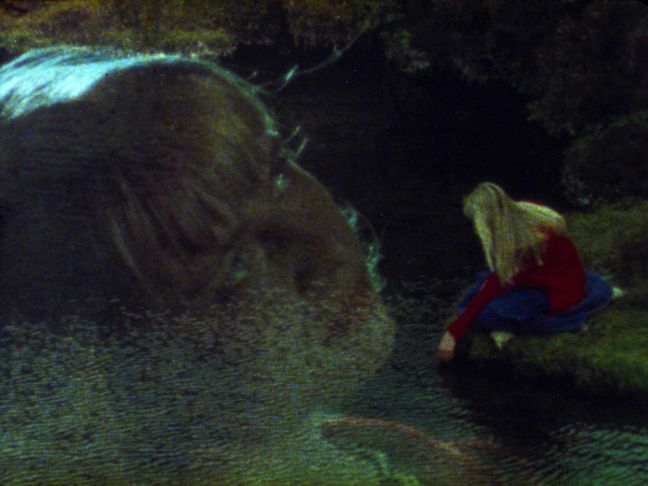 Sóley doppelbelichtet am Wasser und in Nahaufnahme