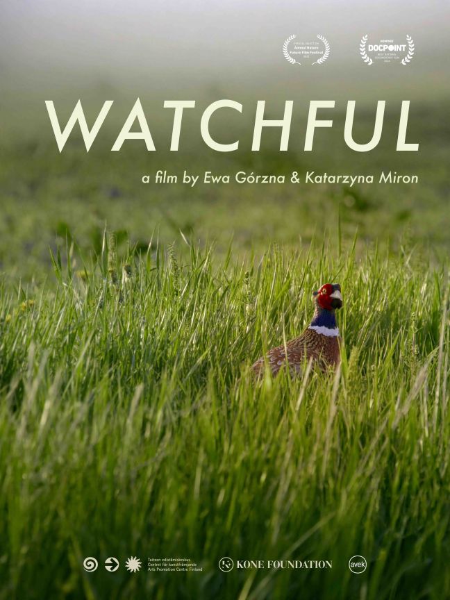 Filmposter Watchful