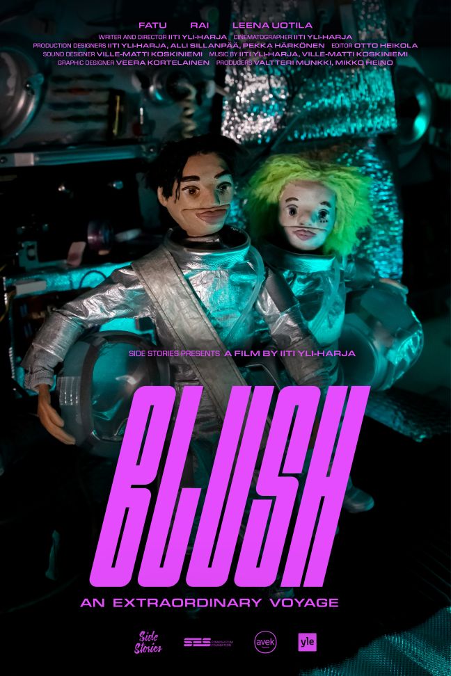 Poster Web 2