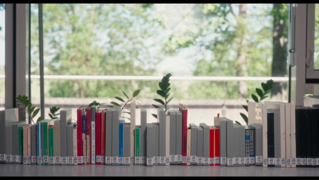 Bücher vor einem Fenster