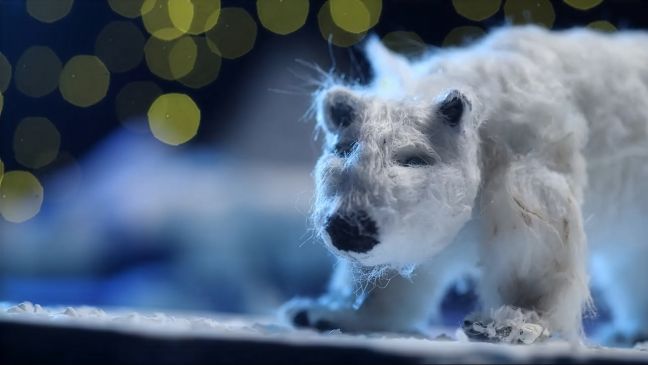 Eisbär Nahaufnahme