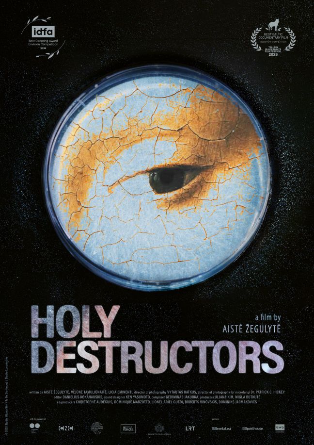 Filmposter Dulkės, kaulai ir stebuklai