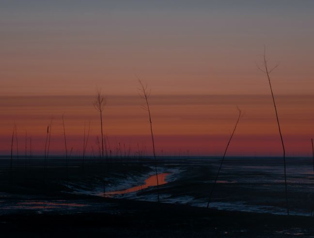 überschwemmtes Land im Sonnenuntergang