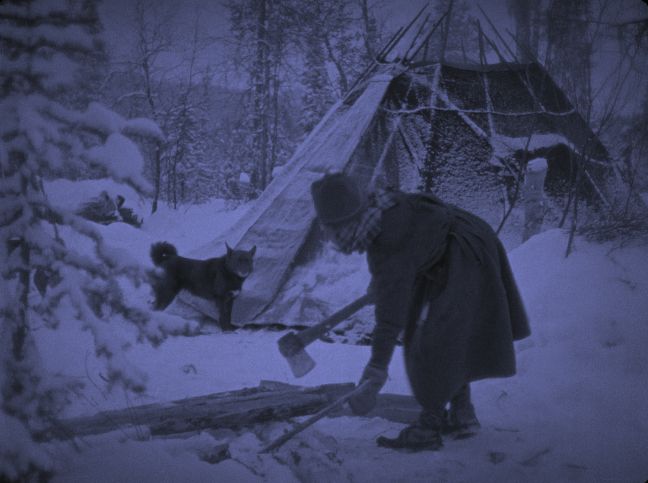 Mann und Hund vor ihrem Zelt